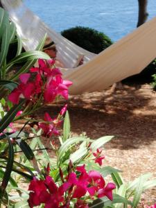 Апартамент villa pod borom Света Неделя Хорватiя