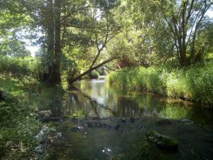 PRZYSTAŃ NAD BOBREM