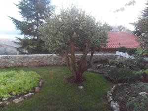 APARTMAN SILVO