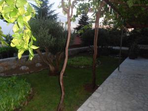 APARTMAN SILVO