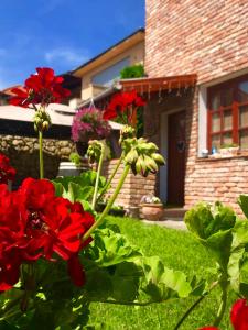 Janicsár Garden Apartman