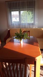 Kuća za odmor JAPICA