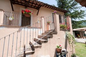 Cottoni Natural Space