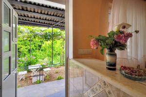 Apartments Banicevic