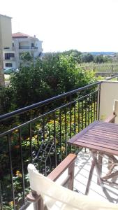 Studio with Garden View