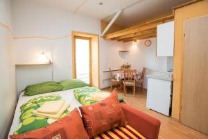 Apartma in studio Jerca ob Savi 