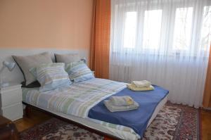 Bright and sparkling clean and comfortable apartment