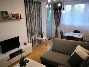 Apartament Alfa