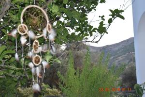 Dreamcatcher of Zeus Naxos Greece