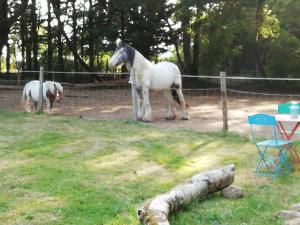 le Logis dArgenson