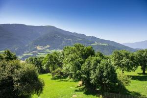 Hansbauer Appartments