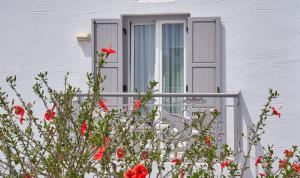 Galaxy Hotel Naxos Greece