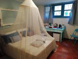 la forma dell'acqua img21