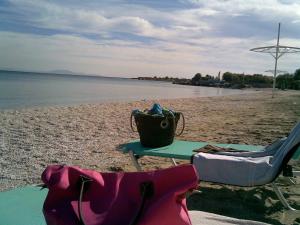 Zoumperi Cute and Cozy close to airport and Rafina