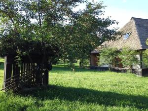 Casa Pintea - Bucovina