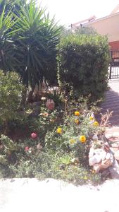 Apartmani Sarić Rogoznica