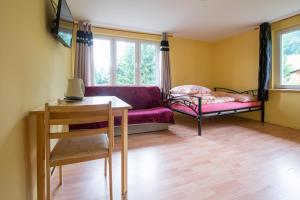 Noclegi pod lasem Solina 20