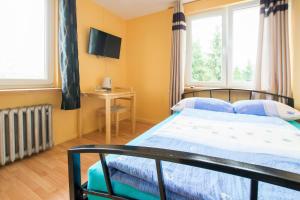 Noclegi pod lasem Solina 20