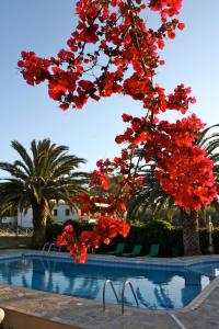 Cormoranos Apartments Eco Green Chania Greece