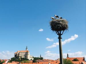 Pensiune Penzion Čáp Mikulov Cehia