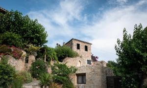 PositiveSpace Olive Tree