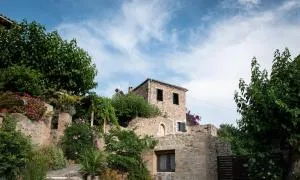 PositiveSpace Olive Tree - Lévktron