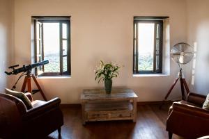 PositiveSpace Olive Tree