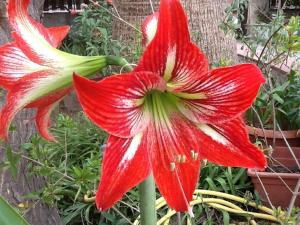 Casa Vacanze Margherita