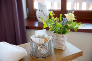 Golchener Hof - Familienhotel & Bauernhofurlaub in Mecklenburg