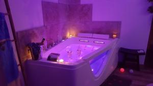 B&B / Chambres d'hotes Le Mas Romantique avec Jacuzzi et Sauna prive : photos des chambres