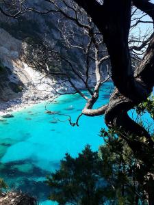 Casa il Cortile Fiorito img36