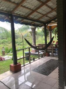 Sumatra Cheeky Monkeys