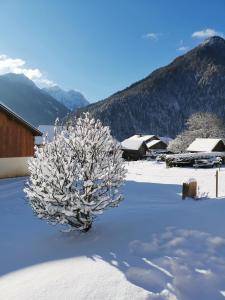 Mazot de Joe avec son hammam entre la Clusaz et Annecy
