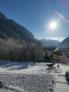 Mazot de Joe avec son hammam entre la Clusaz et Annecy