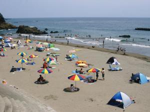 Gallery Court Ofa Atu