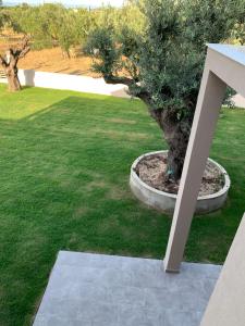 Castella Apartments Halkidiki Greece