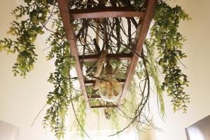 Green Element Guesthouse