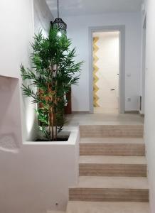 Aphrodite Luxury apartment Astypalaia Greece