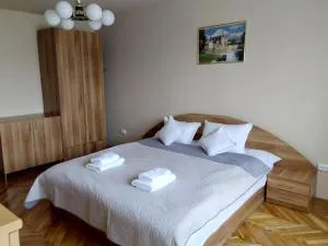 Apartament Maria Sibiu - 锡比乌