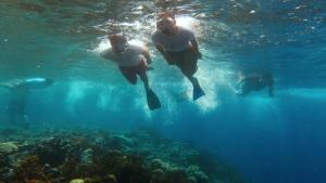 Menjangan Bali Homestay