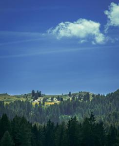 Prè De Vì Strasse, 31, Armentarola, 39036 San Cassiano, South Tyrol, Italy.