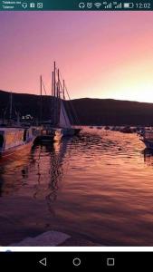 Apartmani Skver Sanja