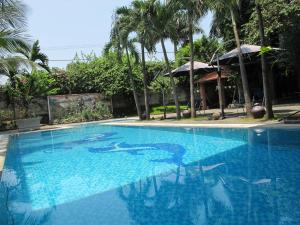 Hoa hồng Homestay