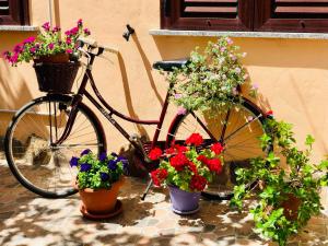 Domo All'Antico Borgo img43