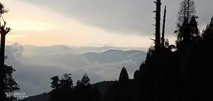 Padma Homestay - Dhotrey