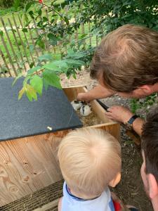 Lodges Ecolodge Beauregard : photos des chambres
