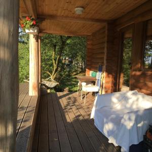 Gospodarstwo Agroturystyczne Betula Pendula