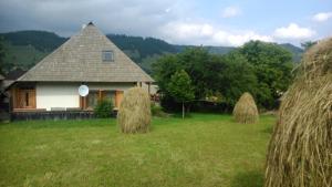 Casa Pintea - Bucovina