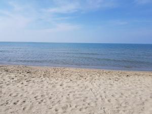 Amazing Sea View Flat