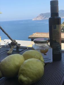 il Magàn - Cinque Terre
